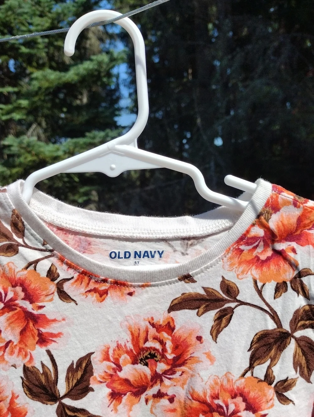 Old Navy,Size5T, Cream Dress with Coral & Brown Floral Print